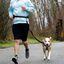 Cinturón para correr con perros color Negro, , large indicador imagen numero 3