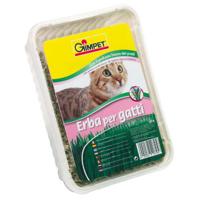 150 g GimCat Hierba Gatera en Bandeja