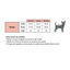 Ideal Pets, Abrigo para perros  Rock and Love, Rose, , large indicador imagen numero 4