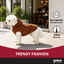 Gotoo Abrigo Teddy Marr&oacute;n para perros, , large indicador imagen numero 6