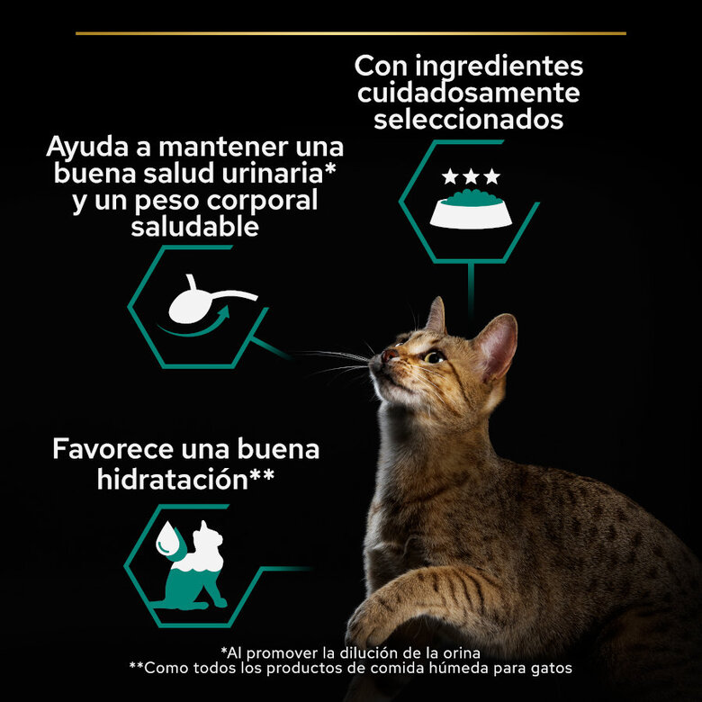 Pro Plan Adult Sterilised Maintenance Salmón y Atún lata para gatos - Multipack 12, , large image number null