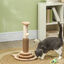PawHut Rascador para Gatos Roble y Crema, , large indicador imagen numero 2