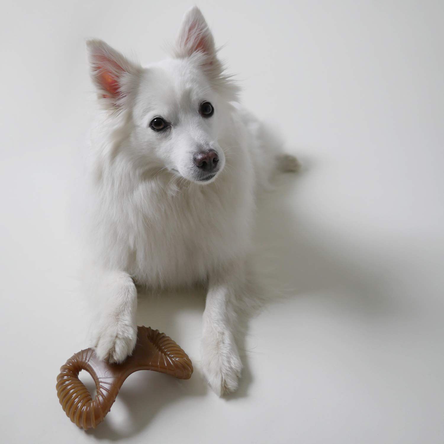 Juguete mordedor Benebone Dental Chew Bacon color Marr&oacute;n, , large Imagen numero 3