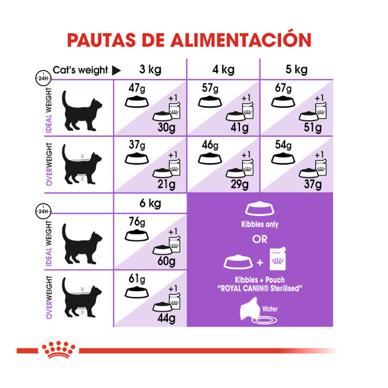 Royal Canin Regular Sterilised 37 pienso para gatos, , large image number null