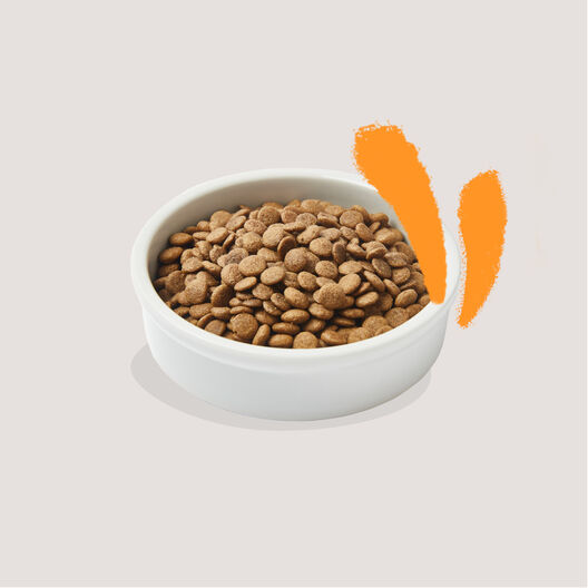 Edgard & Cooper Adult Pollo pienso para gatos, , large image number null