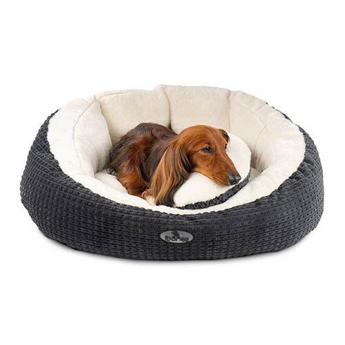 Ibañez Cama Pillow para perros thumbnail