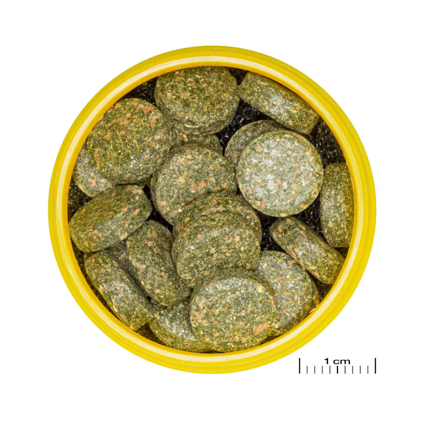 JBL Pronovo Botia Tabletas M Alimento en pastillas para lochas de 1-20 cm thumbnail