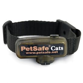 Collar receptor de adiestramiento para gatos color Negro