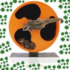 Rueda de ejercicio Silent Wheel para petauros y pequeñas mascotas color Negro y Naranja, , large image number null
