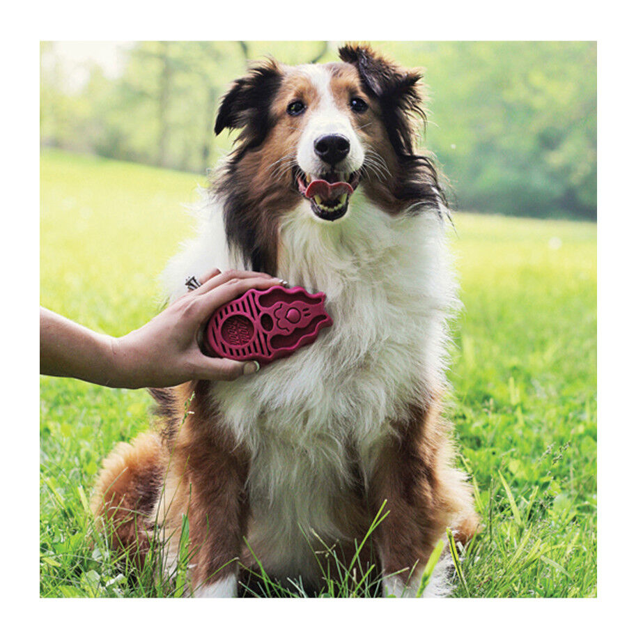 Kong Zoom Groom Cepillo de goma rosa para perros thumbnail
