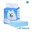 Nobleza - 30 x Empapadores Perros Alfombrilla higiénica de Entrenamiento para Perros. Ultraabsorbente 90cm*60cm., , large indicador imagen numero 10