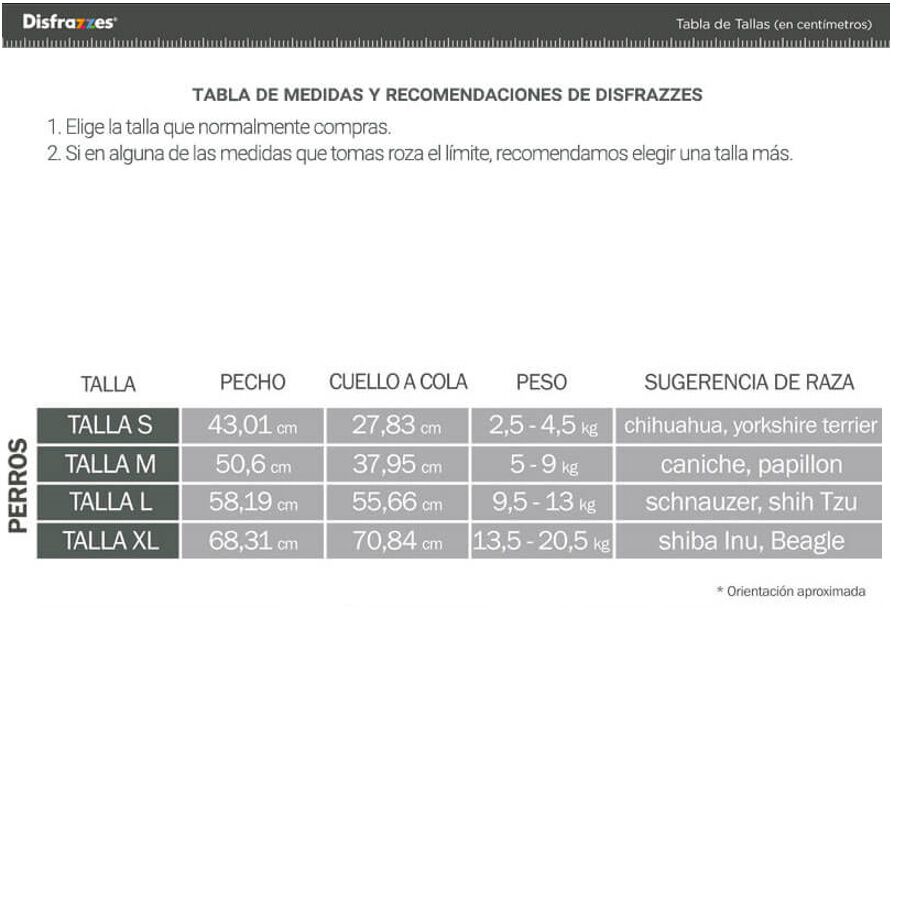 Disfraz de Dogpool cl&aacute;sico de Deadpool con cintur&oacute;n para perro, , large Imagen numero 2