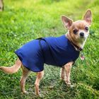 Chaqueta refrescante de poliéster PawHut para perros color Azul, , large image number null