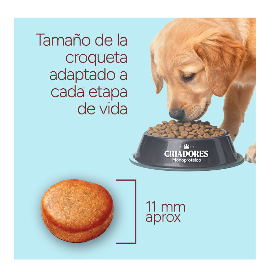 10 kg Criadores Monoproteico Light -40% contenido graso Adulto con Pollo pienso para perros, , large Imagen numero 8