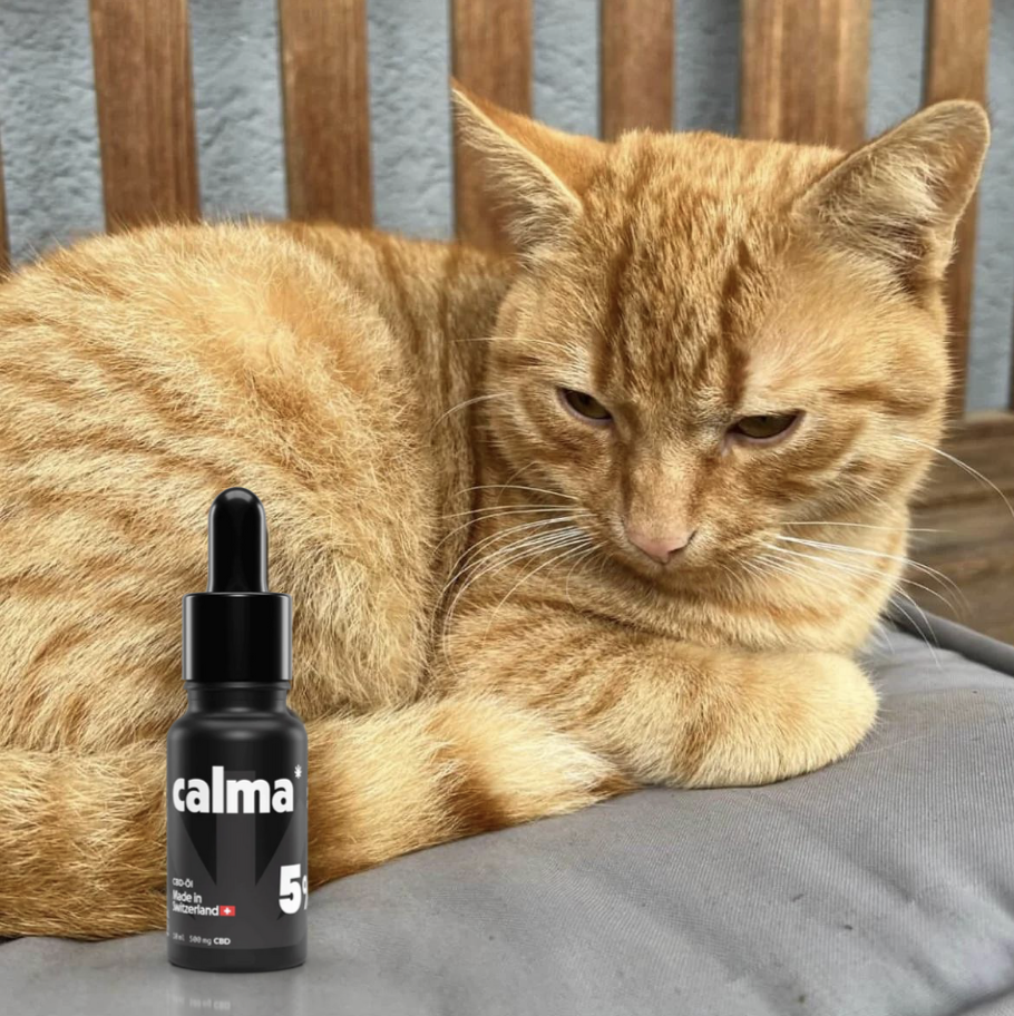 CALMA CBD Aceite de CBD Premium 5%, , large Imagen numero 5