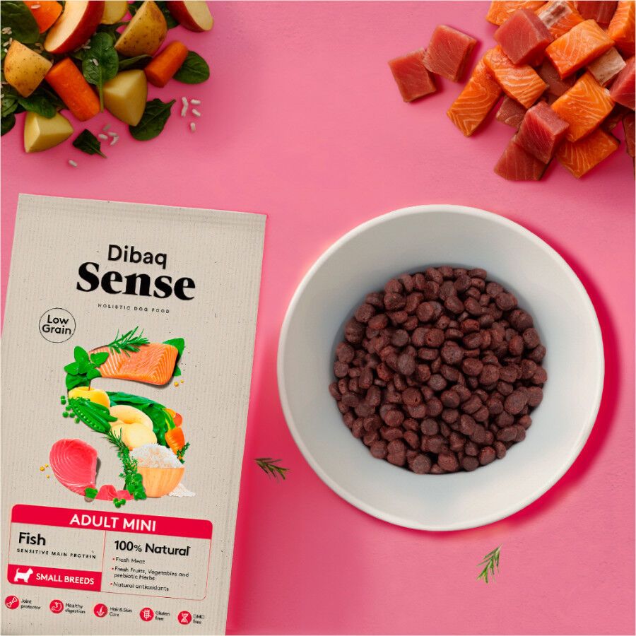 2 kg Dibaq Sense Low Grain Ault Mini Pescado Pienso para perros, , large Imagen numero 2