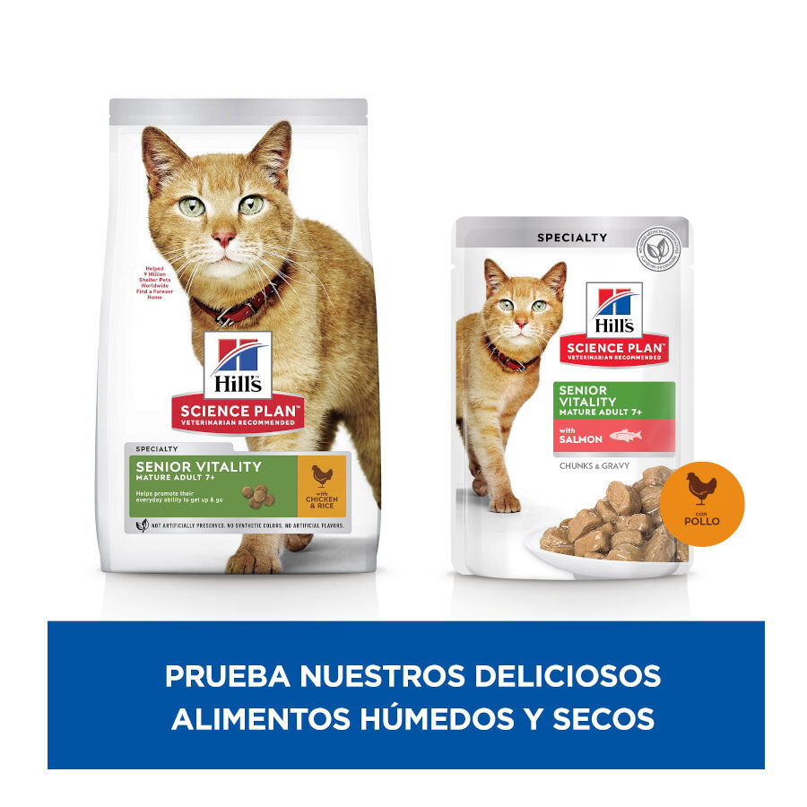 12 sobres x 85 g Hill's Science Plan Senior Vitality Pollo y Salm&oacute;n Sobre en salsa para gatos, , large Imagen numero 3