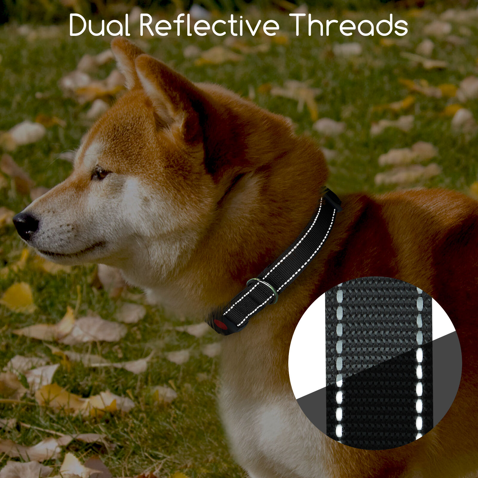 Nobleza - 2&times; Collar Perro, Collar Nylon Reflectante Suave Acolchado para Perros, Ajustable Collar Perro Peque&ntilde;o con Cerradura de Seguridad, Collares de Entrenamiento para Perros (XS, Negro), , large Imagen numero 4