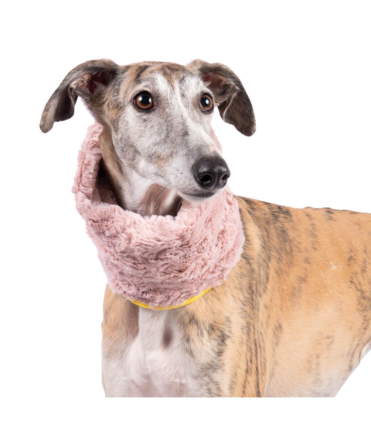 Cuello Bufanda para perro Groc Groc Uoamy Rosa Peluche, , large Imagen numero 2