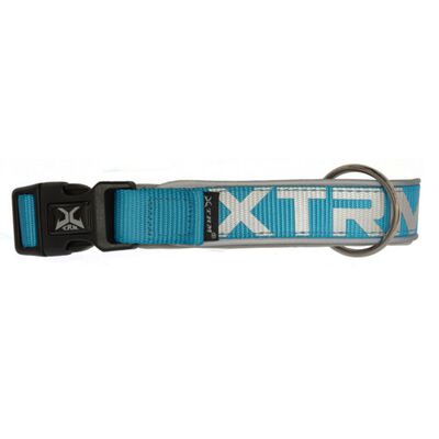 X-TRM Neon Flash Collar Azul para perros