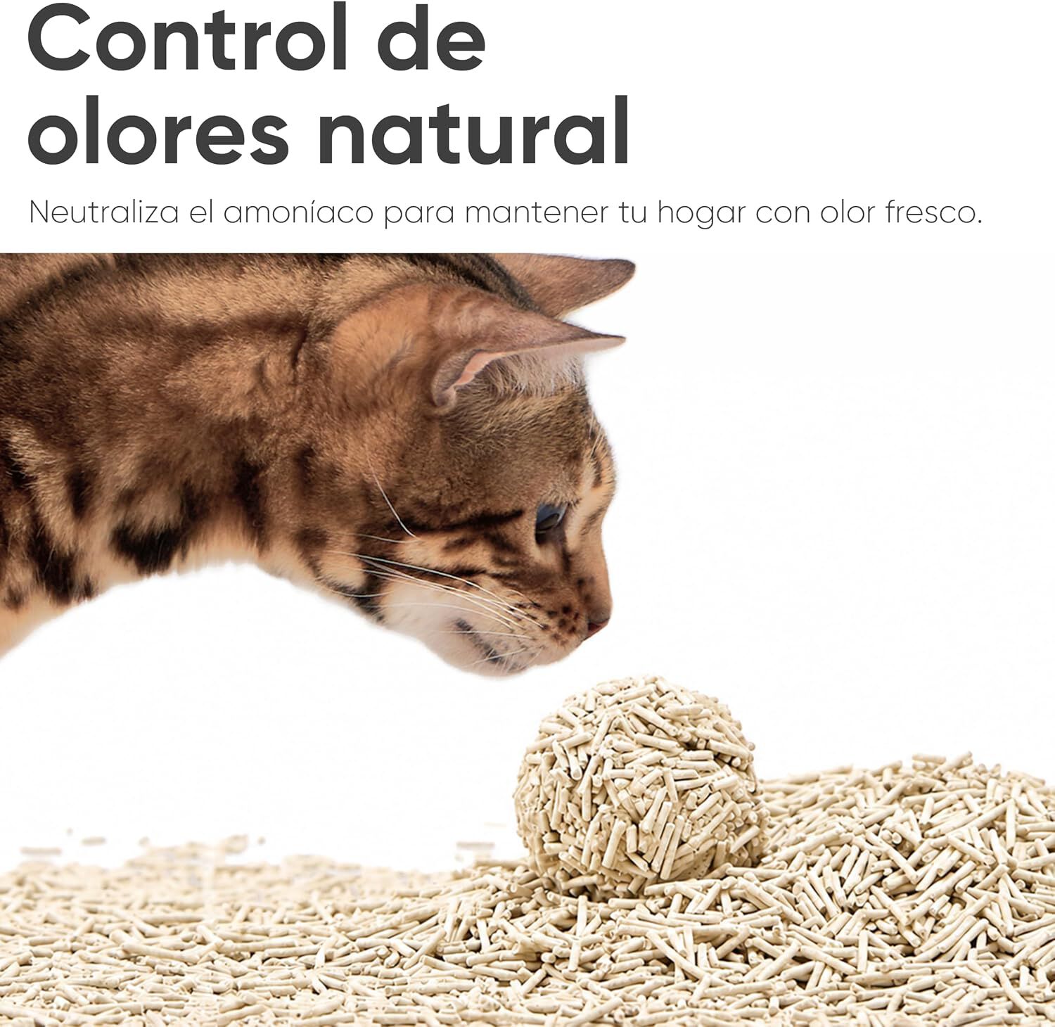 Fukumaru Arena de Tofu para Gatos sin Perfume 2,7 kg &ndash; Aglomerante, Casi sin Polvo y Soluble en Agua - Pack 4 x 2,7 kg (10,8 kg), , large Imagen numero 2