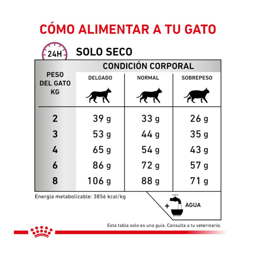 Royal Canin Veterinary Mobility pienso para gatos thumbnail