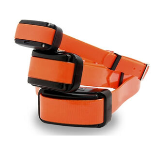 Dogtrace  PRO  - Collares adicionales COLLAR DOGTRACE  PRO