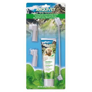 Set dental de menta para perros olor Menta