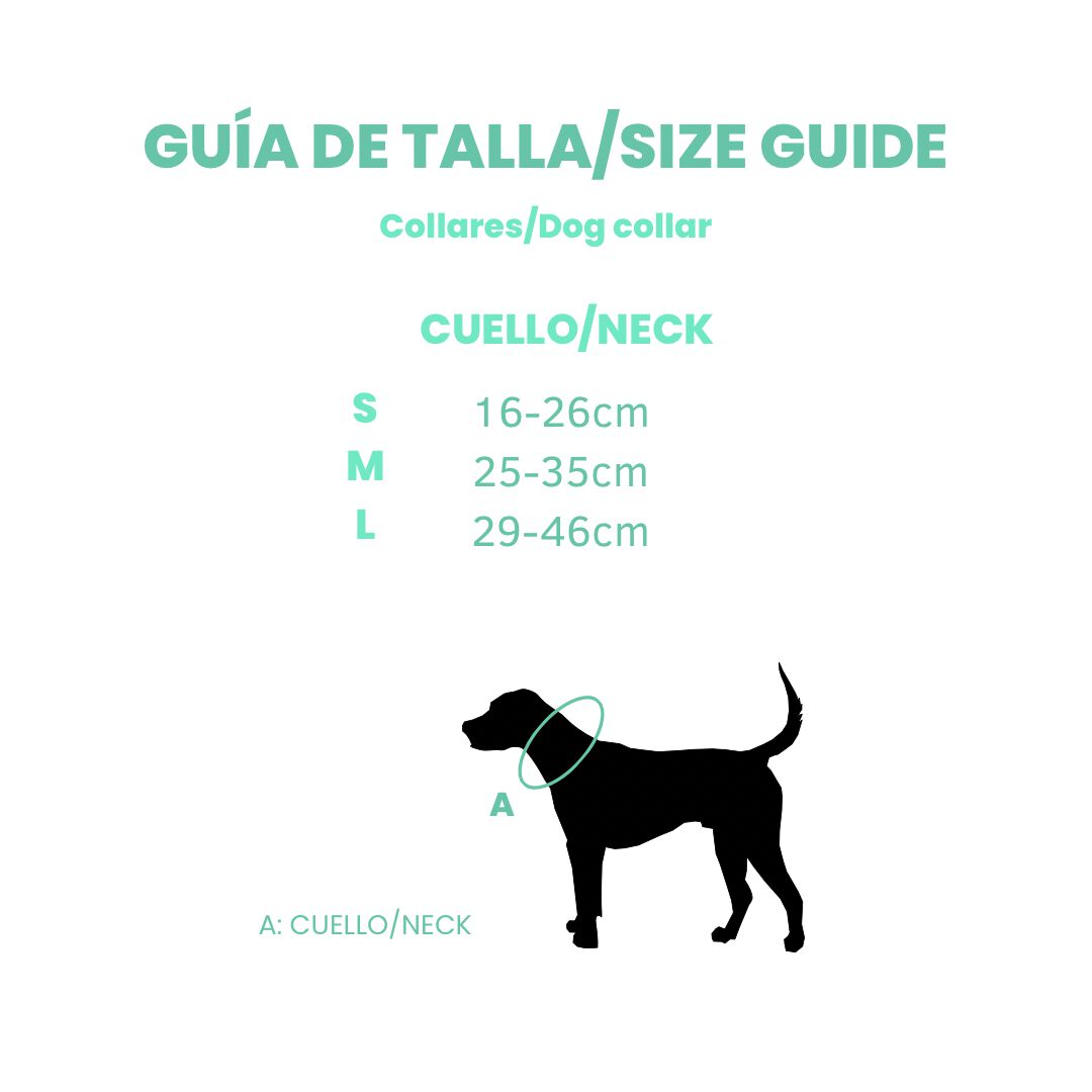 Collar para perros Breakfast, , large Imagen numero 2