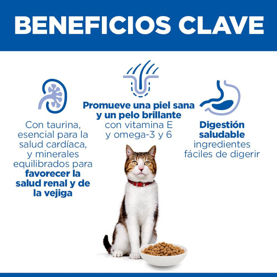 10 kg Hill's Science Plan Mature Adult 7+ Pollo pienso para gatos, , large Imagen numero 4