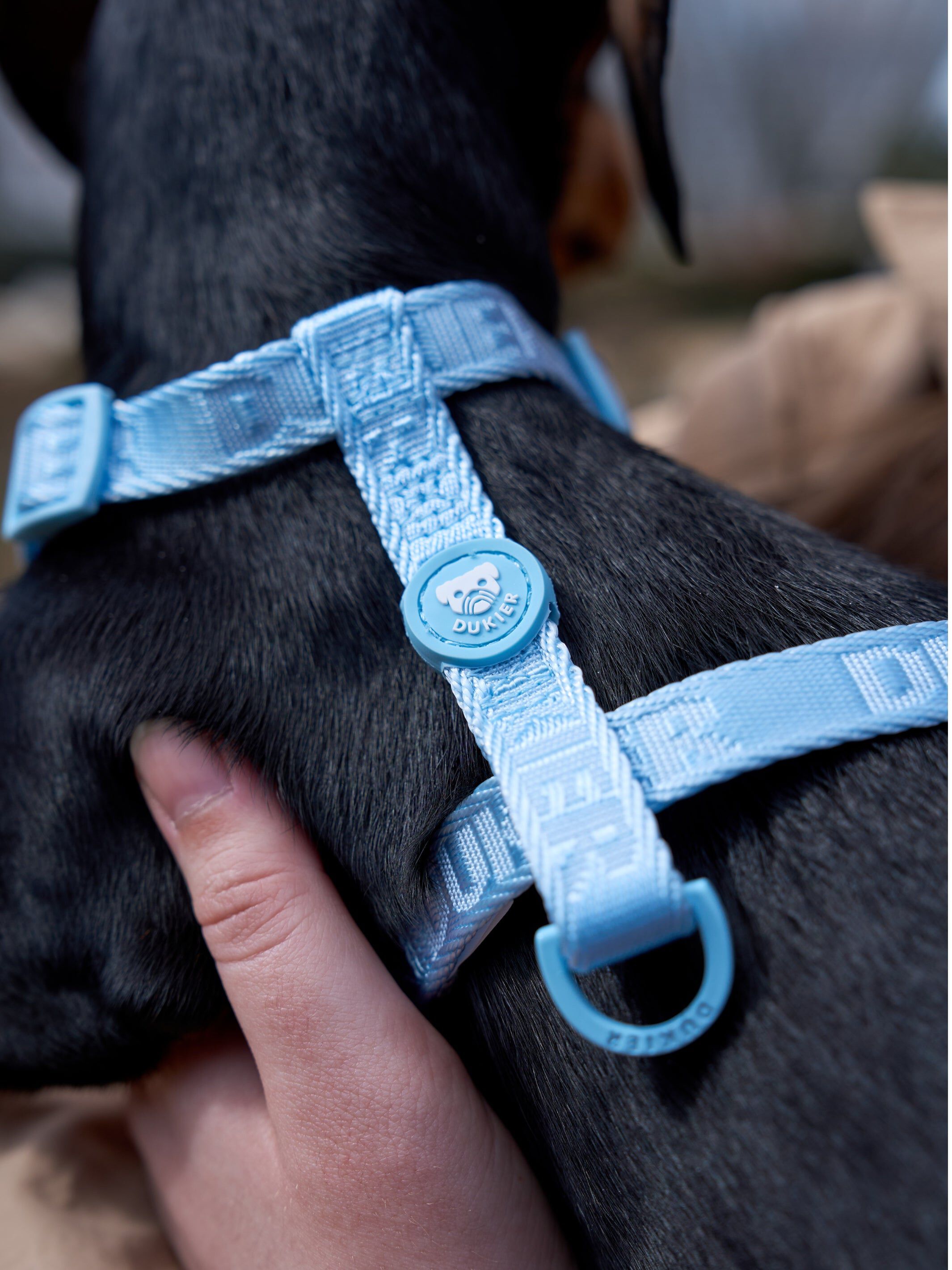 Arn&eacute;s Cl&aacute;sico Soft Blue (Essentials) S, , large Imagen numero 4