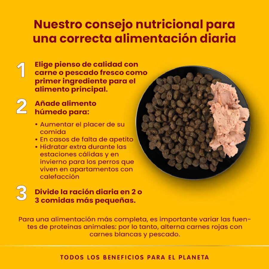 Almo Nature HFC Ternera lata para perros thumbnail