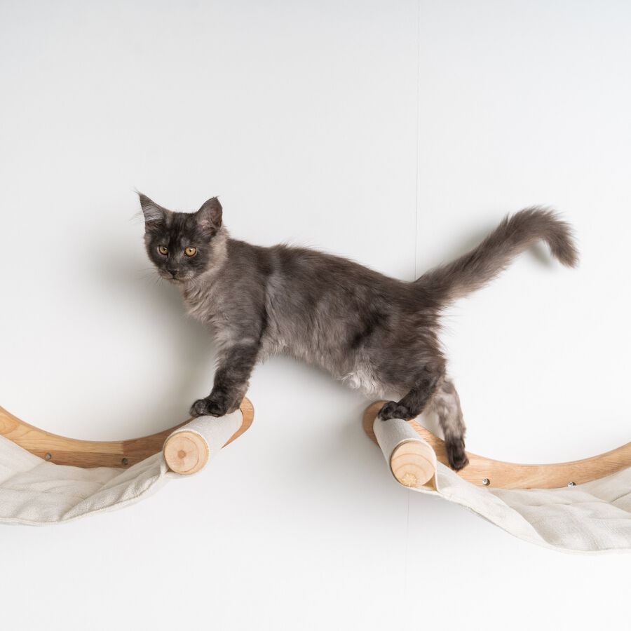 Muro Escalada Para Gatos - Hamaca de Luxe XXL (Beige), , large Imagen numero 4