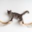 Muro Escalada Para Gatos - Hamaca de Luxe XXL (Beige), , large indicador imagen numero 4
