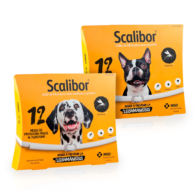 pañuelo Todo tipo de Nuevo significado Scalibor Collar Antiparasitario para perros 48 y 65 cm | Tiendanimal