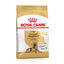 Royal Canin Ageing Pastor Alemán +5 12 kg indicador imagen numero 1