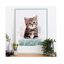 Mascochula rocky retrato realista personalizado en lámina con tu mascota, , large indicador imagen numero 1