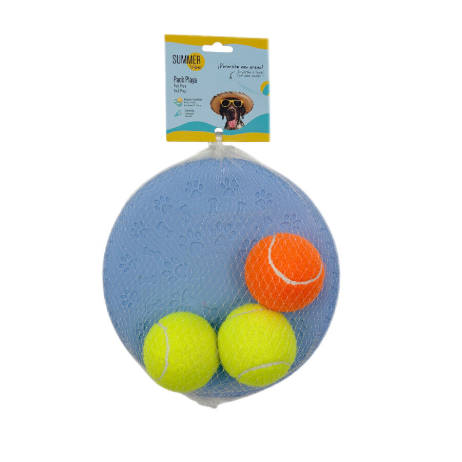 Summer Vibes Frisbee con Pelota Juguete Azul para perros, , large Imagen numero 5