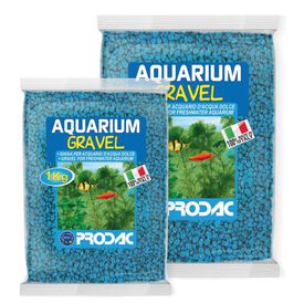 Prodac Arena Quartz Turquesa para gatos