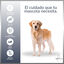 MD-10 Champú Hidratante y Dermoprotector para Golden Retriever, , large indicador imagen numero 3