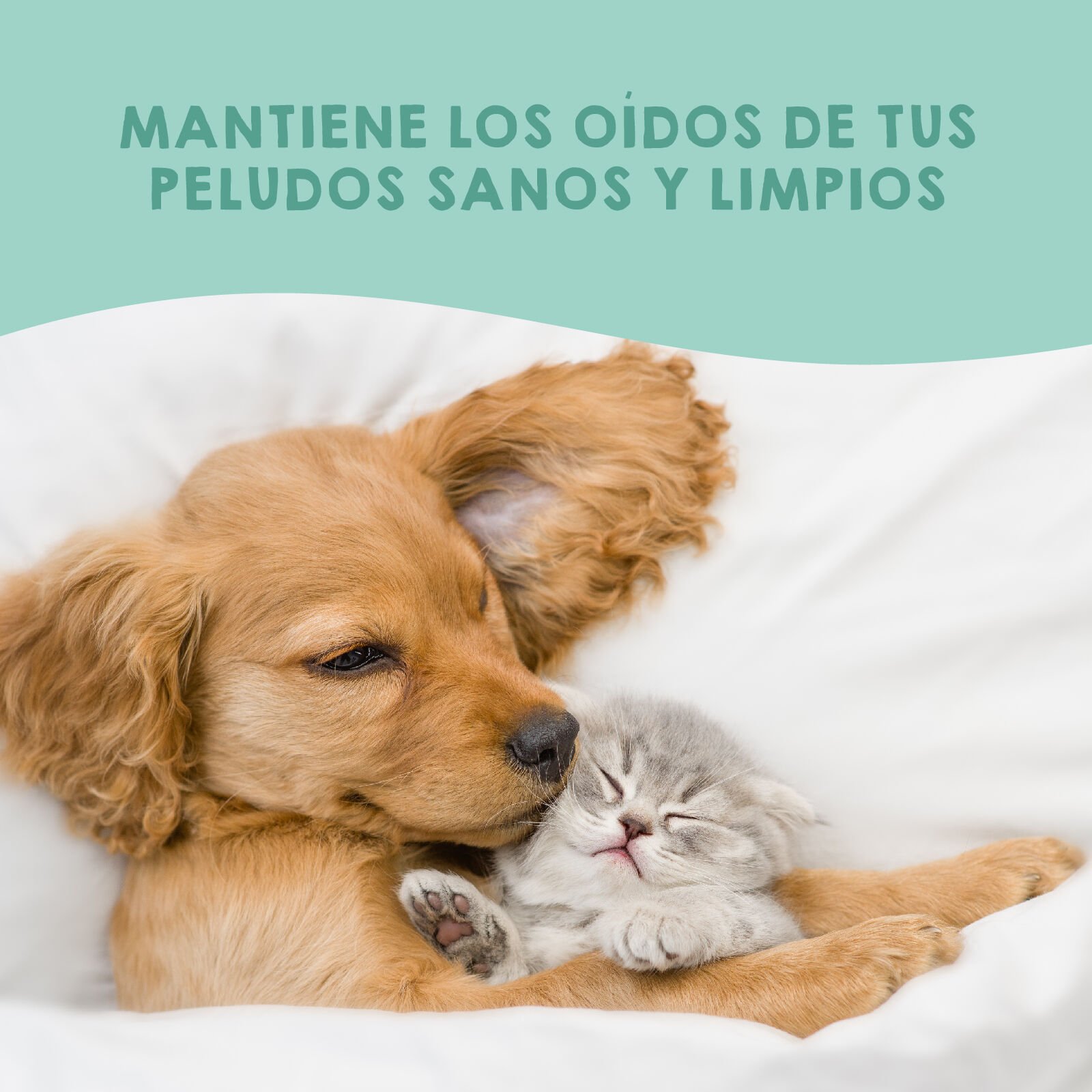 MAIKAI Limpiador de Oidos para Perros y Gatos - Gotas Oídos thumbnail