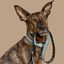 Baona correa boracay de nylon reciclado multicolor para perros, , large indicador imagen numero 2