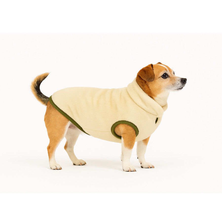 Outech Forro Polar Beige para perros, , large Imagen numero 3