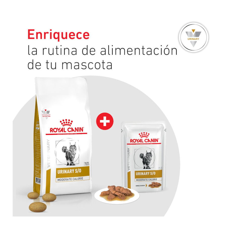 1.5 kg Royal Canin Veterinary Urinary S/O Moderate Calorie pienso para gatos, , large Imagen numero 8