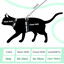 Nobleza Arnés para Gatos con Correa, Ajustable Antiescape Seguridad Arnés para Gatos y Cachorros, , large indicador imagen numero 2