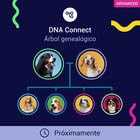 Prueba De ADN Para Perros Advanced, , large image number null