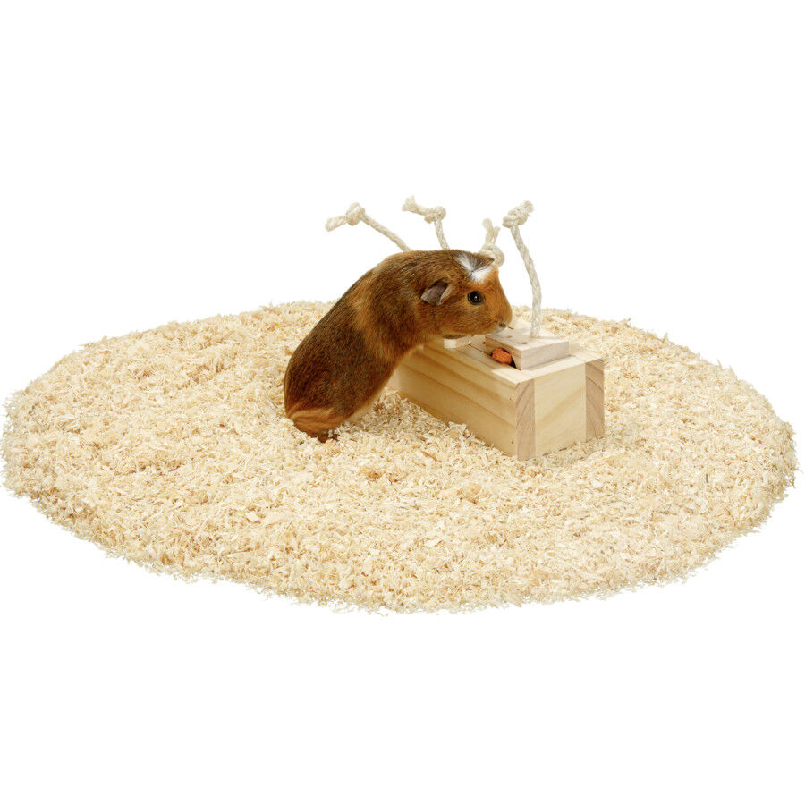 Flamingo Brain train Rody Armario Juguete con cuerda para roedores thumbnail