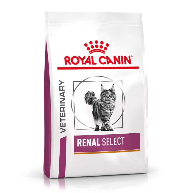 Royal Canin Veterinary Renal Select pienso para gatos, , large image number null