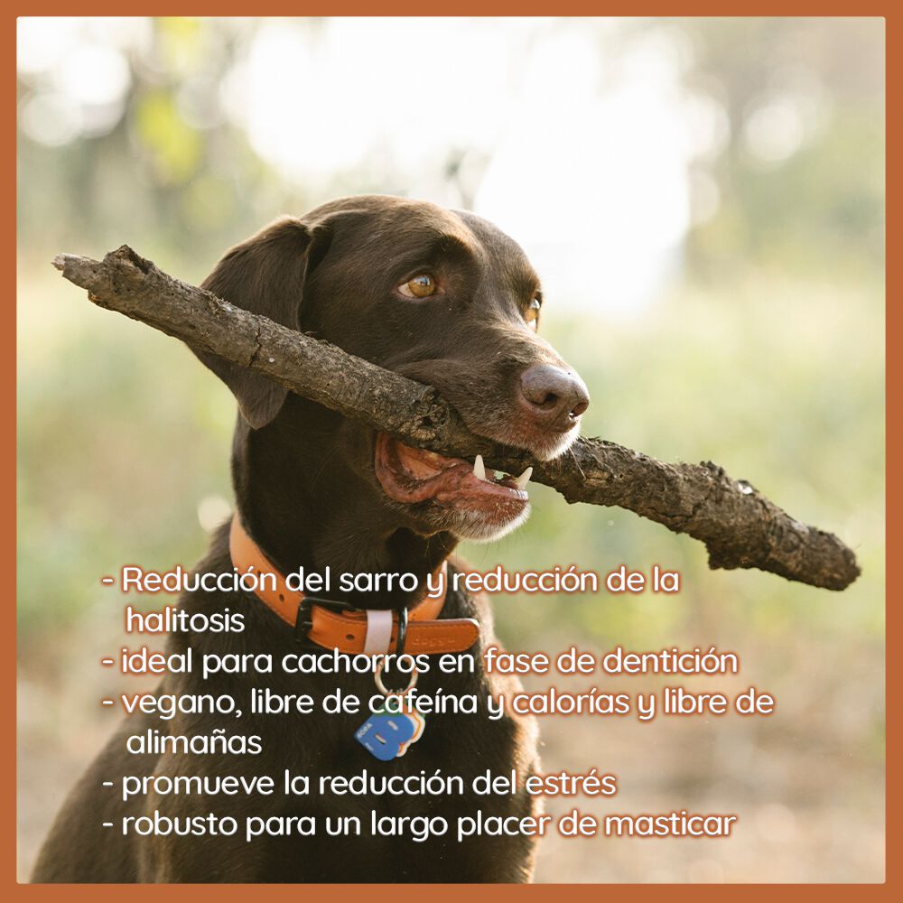 Wildfang Palo masticable de madera de café para perros thumbnail