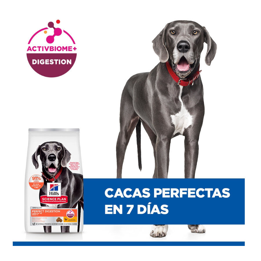 14 kg Hill's Science Plan Perfect Digestion Adult large Pollo pienso para perros, , large Imagen numero 7